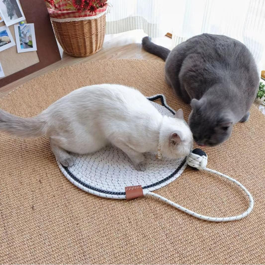 Best Cat Scratching Solutions for Small Apartments