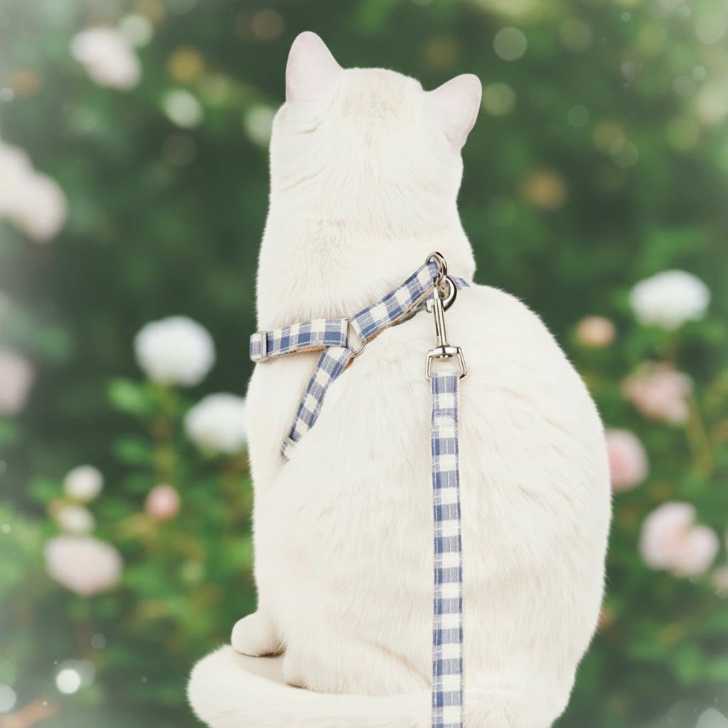 The Heritage Plaid Harness & Leash Set