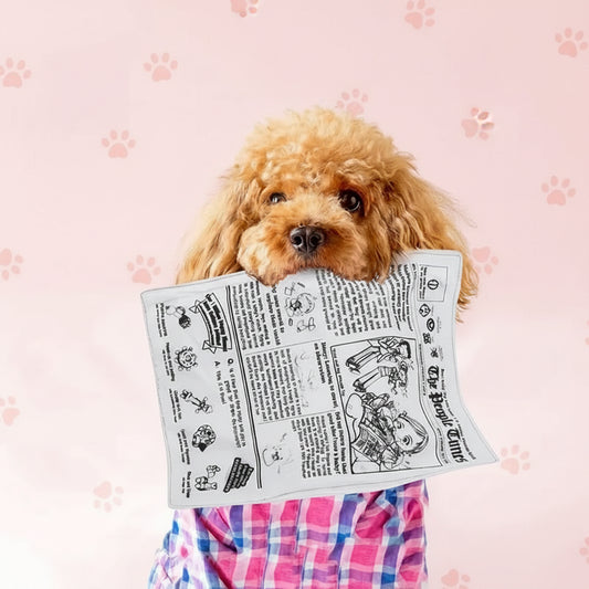 The Daily Bark Crinkle Newspaper Toy