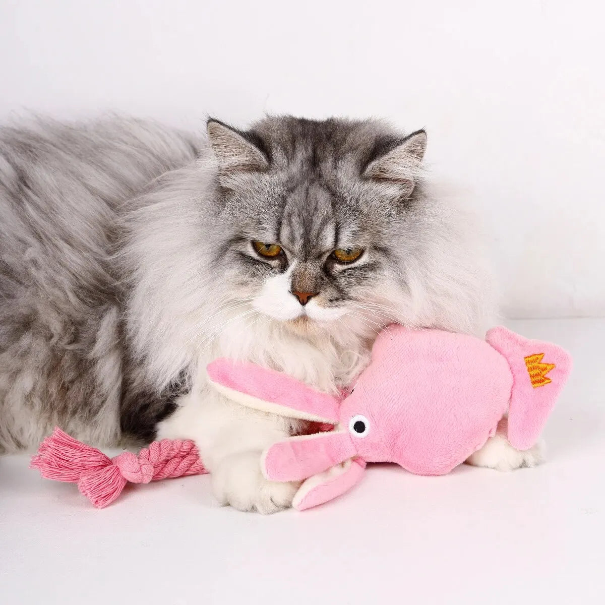 The Deep Sea Squeak & Tug Octopus