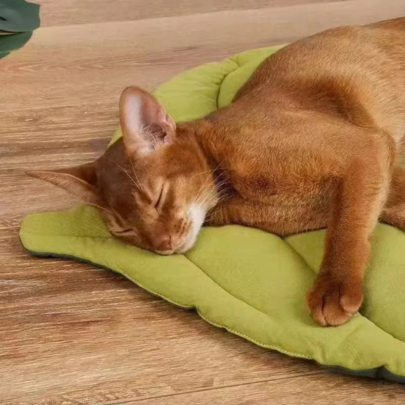 The Evergreen Leaf Pet Lounge Mat