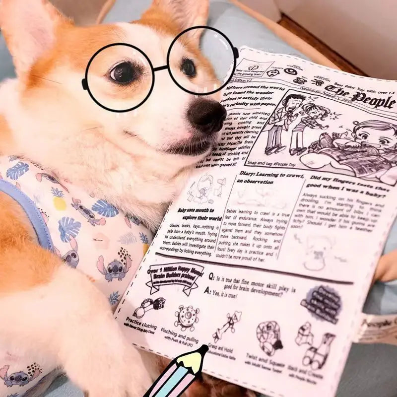The Daily Bark Crinkle Newspaper Toy