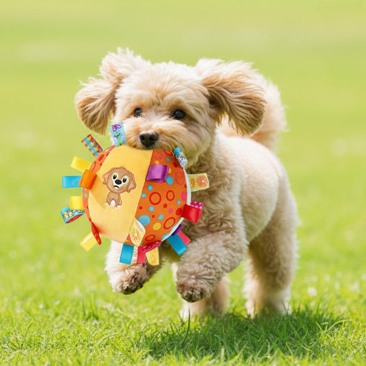 The Fetch & Tug Webbing Ball