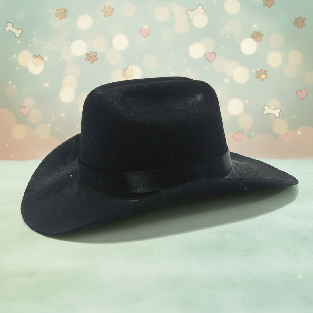 The Frontier Star Pet Cowboy Hat